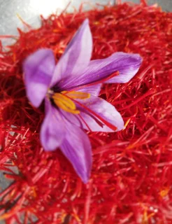 زعفران سوپر نگین مزرعه